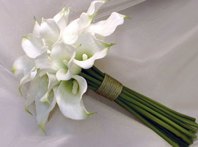 Floristería Clío Ramo flores blancas