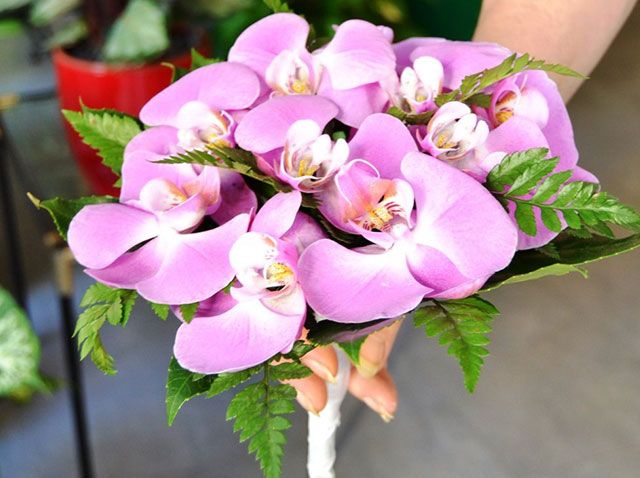 Floristería Clío Persona sosteniendo ramo de orquideas